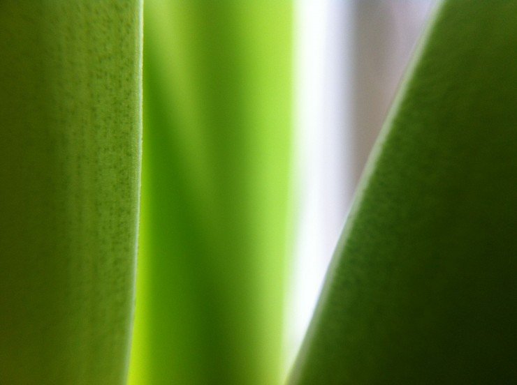 Photo 2012-04-21 14 33 38