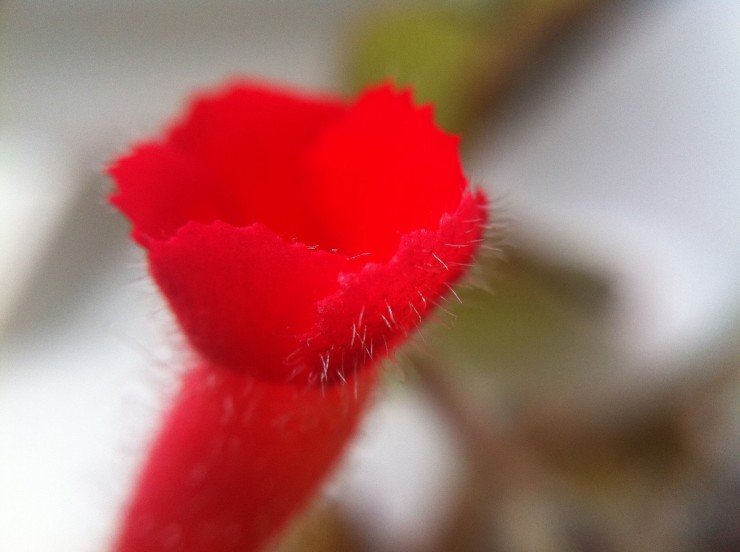 Photo 2012-04-21 14 33 58