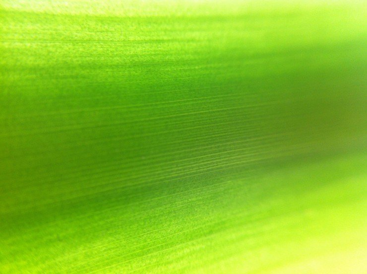 Photo 2012-04-21 14 35 26
