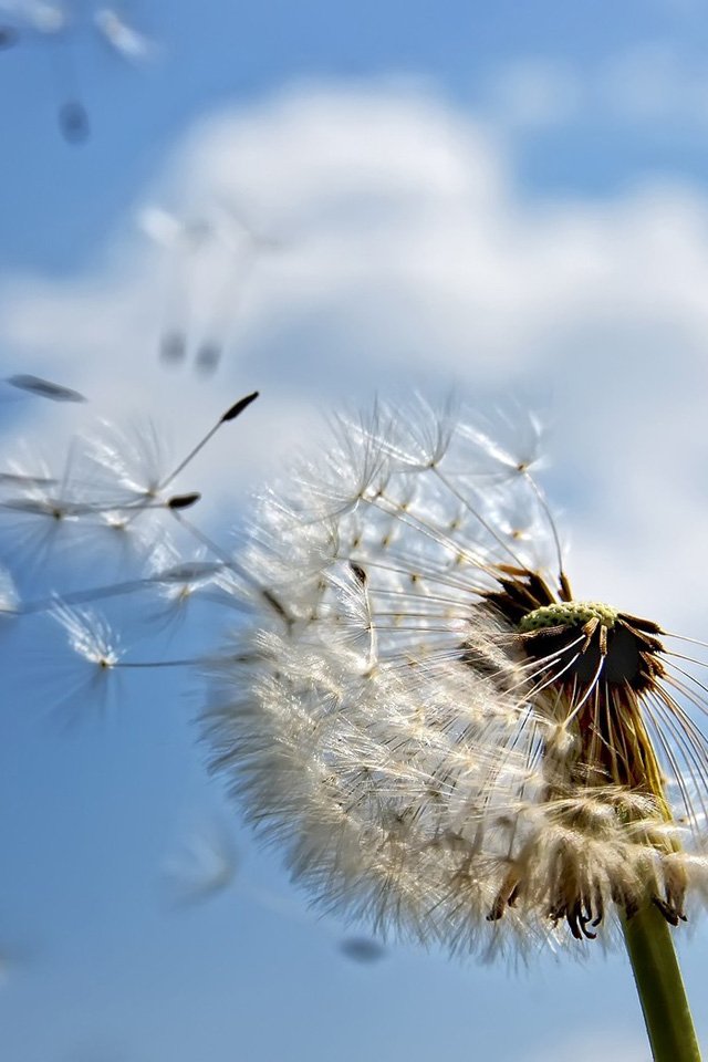 wallpaper-7-aug-2012