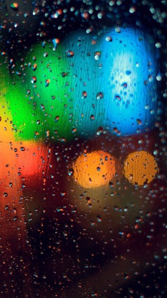 Colorful-Rainy-Grass-iPhone-5-wallpaper-ilikewallpaper_com