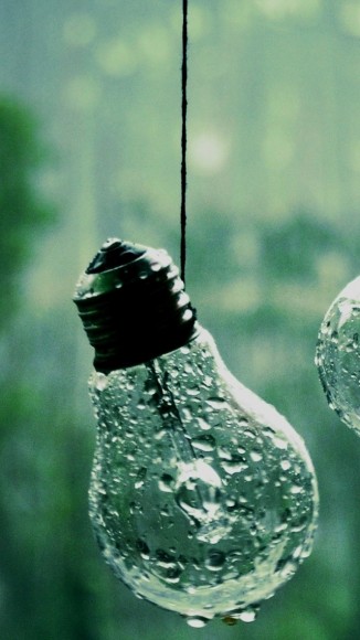 Drops-on-Bulbs-iPhone-5-wallpaper-ilikewallpaper_com