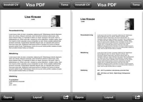 cv_3 App, Mitt CV