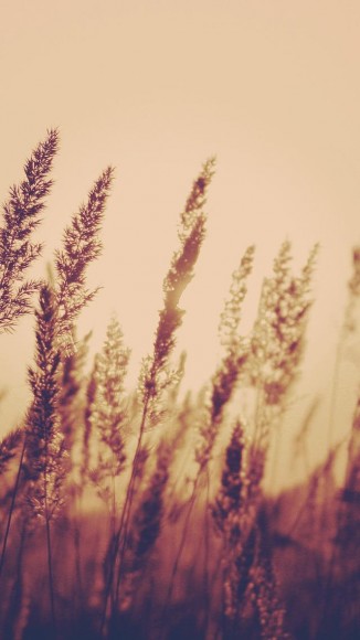 tumblr_mc054cNzlb1rhztfto1_1280