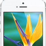 iPhone 5S