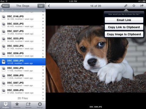 Dropbox för iPad