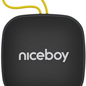 Niceboy Raze Mini 4 Bluetooth-högtalare med FM-radio